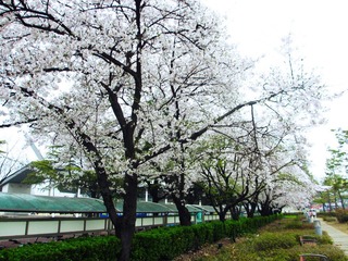 IMG_0891.jpg