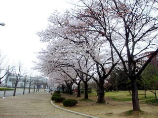 IMG_0908.jpg