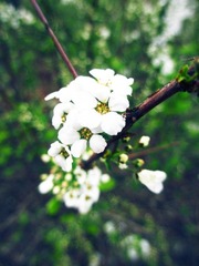IMG_0909.jpg