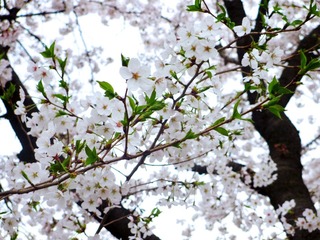 IMG_0928.jpg