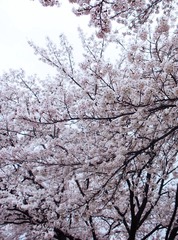 IMG_0934.jpg