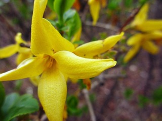 IMG_0938.jpg