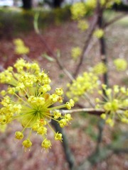 IMG_0939.jpg