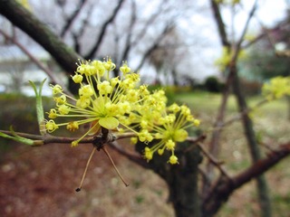 IMG_0941.jpg