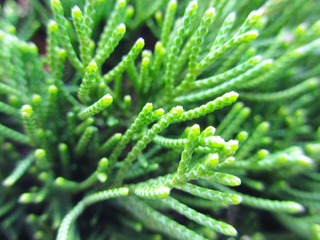 IMG_0989.jpg