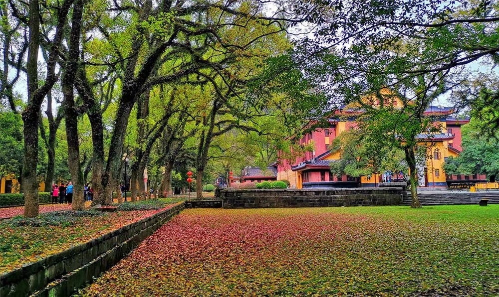 广西师范大学王城校区的图书馆