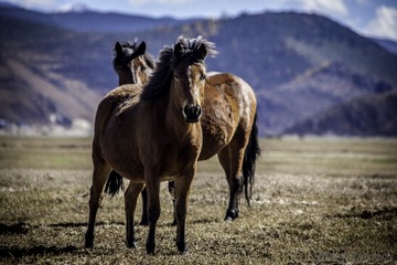 _MG_0377-4