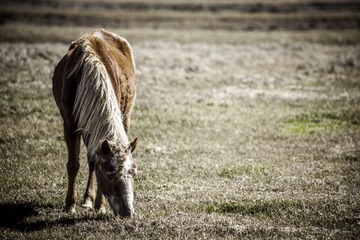 _MG_0380-6