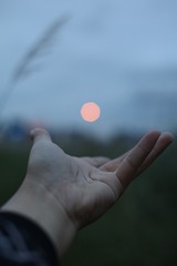 1561749
