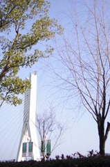 紫金大桥