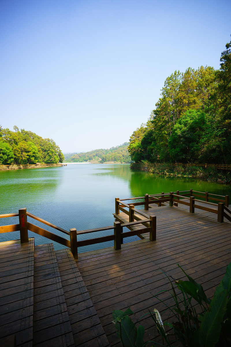 普洱市梅子湖栈道