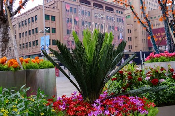 P1000441