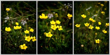 DSC_38700.jpg