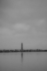 DSC_9185.jpg