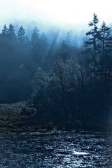 DSC_6714-2.jpg