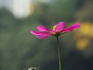 210168