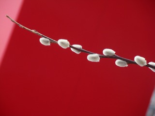216505