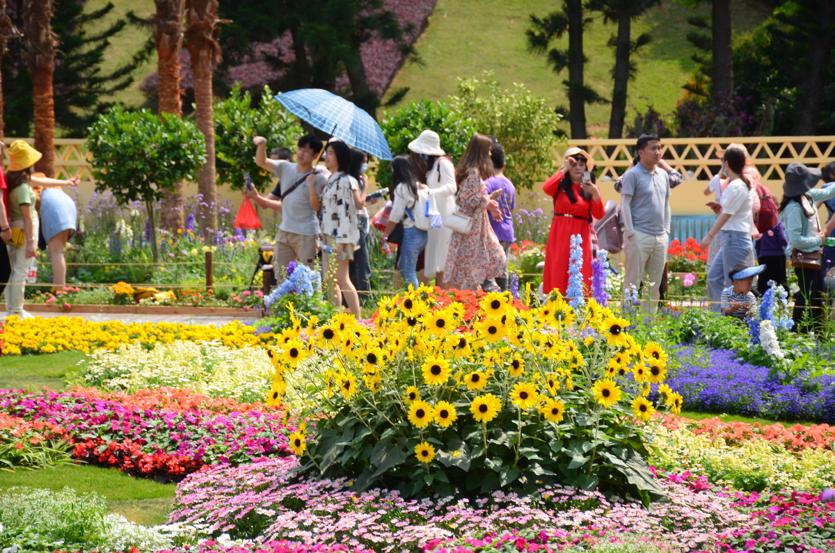 2021粤港澳大湾区深圳花展