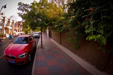 IMG_1180.jpg