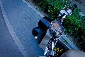 IMG_1315.jpg