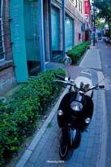 IMG_1316.jpg