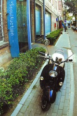 IMG_13161.jpg