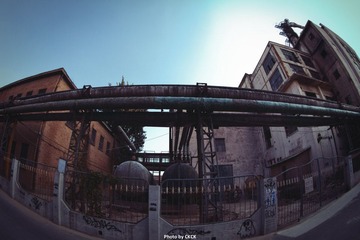 IMG_1363-编辑.jpg