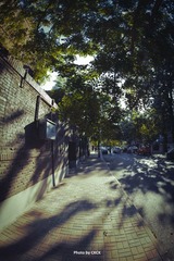 IMG_1174-编辑.jpg