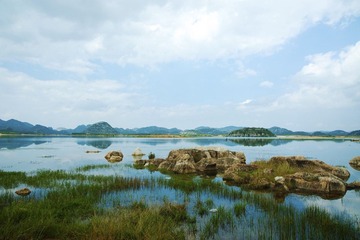DSC_7721.jpg