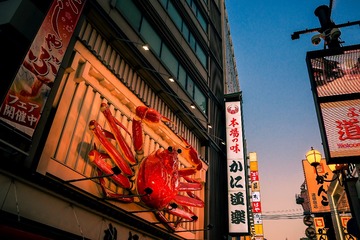 _DSC9772_