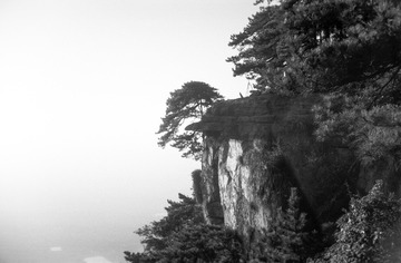IMG-9000ED-87164