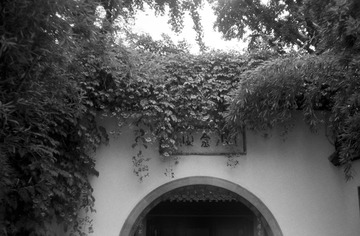 IMG-9000ED-87152