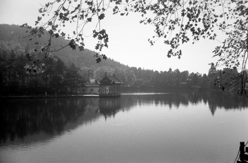 IMG-9000ED-87163