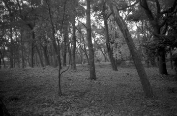 IMG-9000ED-87169