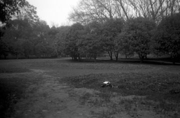 IMG-9000ED-87171