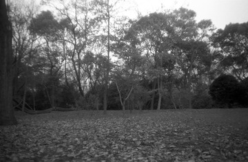 IMG-9000ED-87172