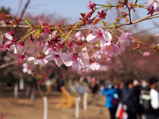 光