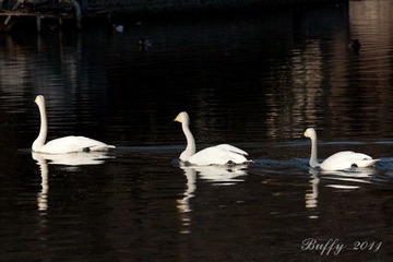 IMG_5058-15
