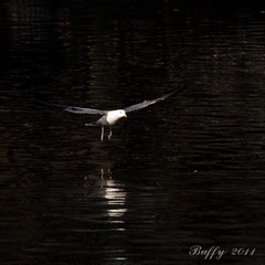 IMG_5081-19