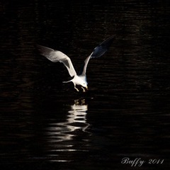 IMG_5082-20