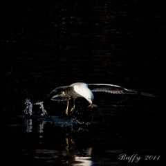 IMG_5083-21