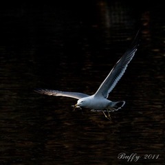 IMG_5086-23
