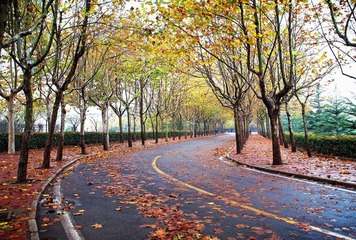 DSC_0199.jpg