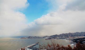 DSC_0446.jpg