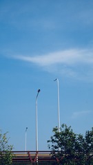 DCAC89B5-F088-4AFF-88C0-5AB2A01C5294/L0/001