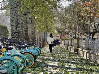 景就在窗外