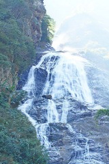 IMG_5195.JPG