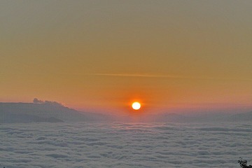 IMG_4942.JPG