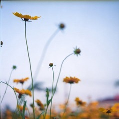 IMG053.jpg
