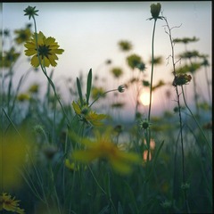 IMG055.jpg